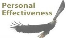 Personal Effectiveness